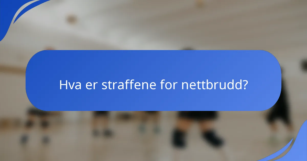 Hva er straffene for nettbrudd?